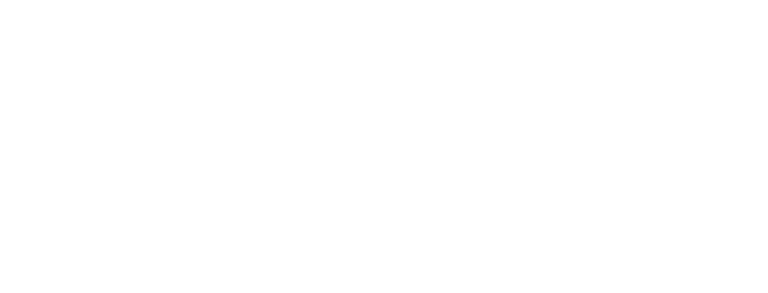 Dethleffs Logo White