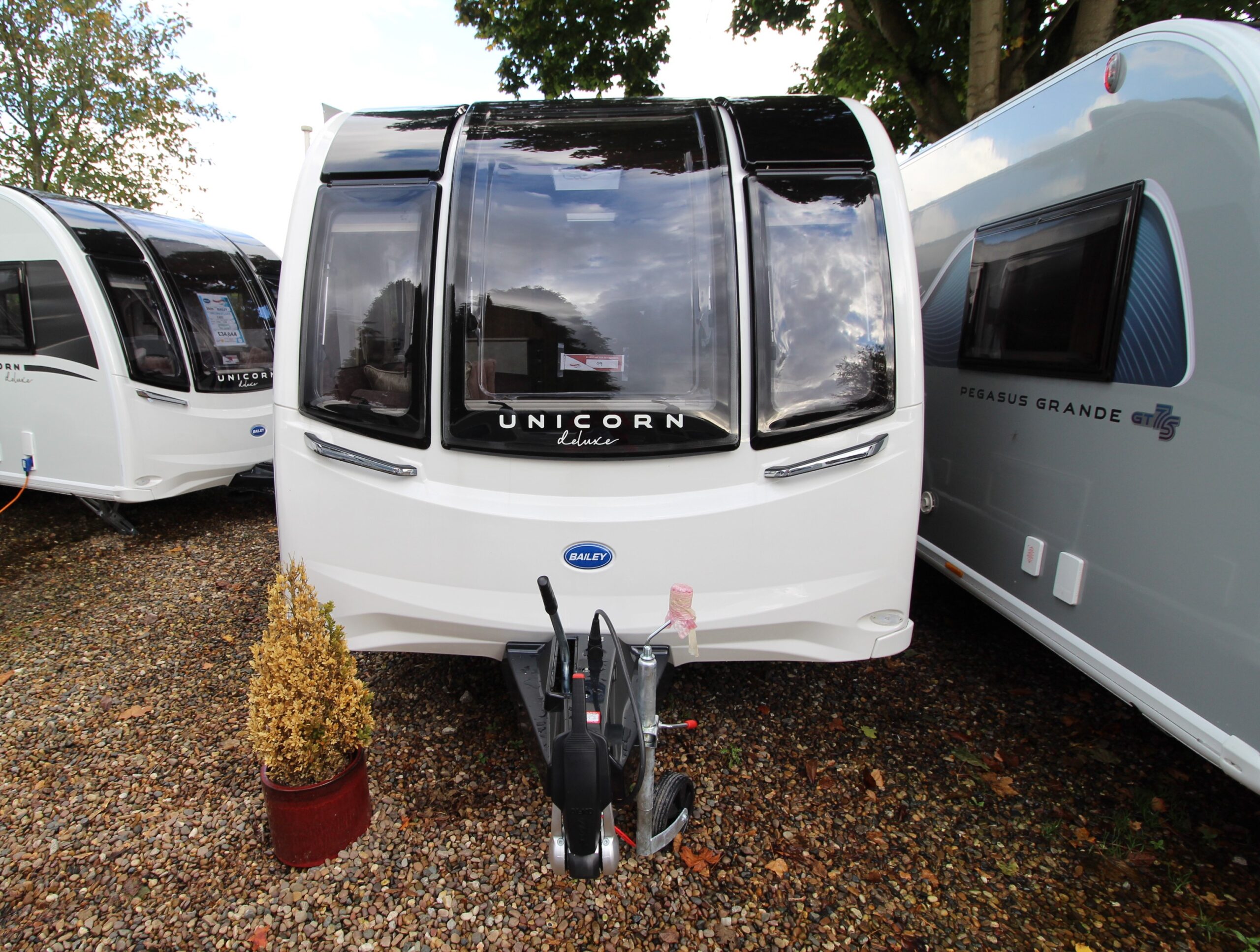 2025-unicorn-deluxe-seville-9.jpg