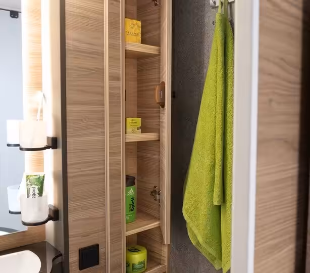 dethleffs-t46-bathroom-storage.jpg